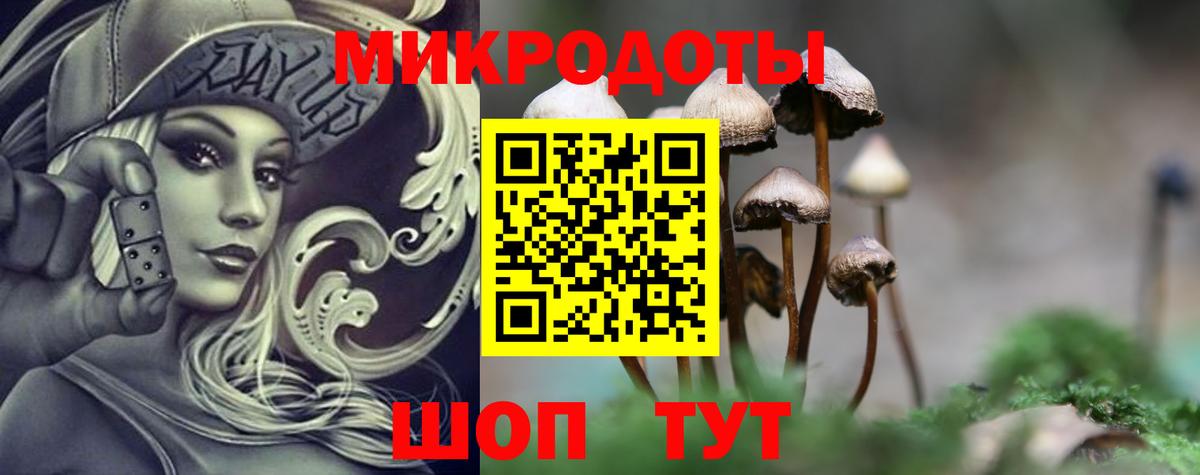 Псилоцибиновые грибы ЛСД Троицк